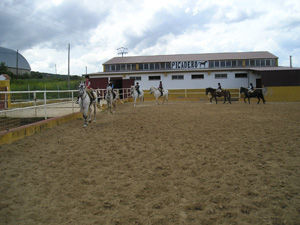 Clases equitacion en la pista exterior