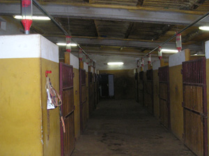 Boxes para nuestros caballos del picadero en Salamanca