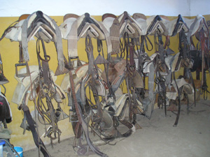rutas a caballo en Salamanca