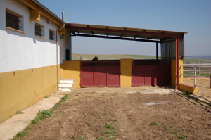 Boxes en cuarentena de la Escuela de equitacin en Salamanca