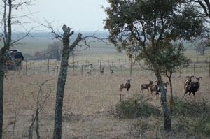Ruta a caballo RESERVA DE CAZA