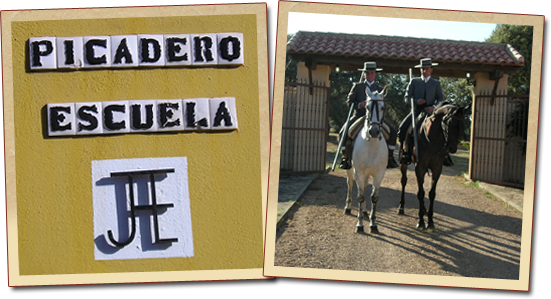 Caballos e instalaciones de la escuela de equitación en Salamanca