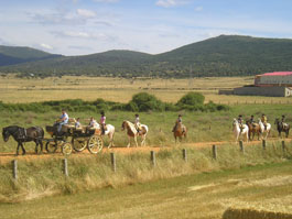 Ruta con carruaje en Salamanca